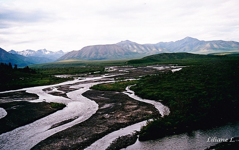 Denali NP1 Savage river