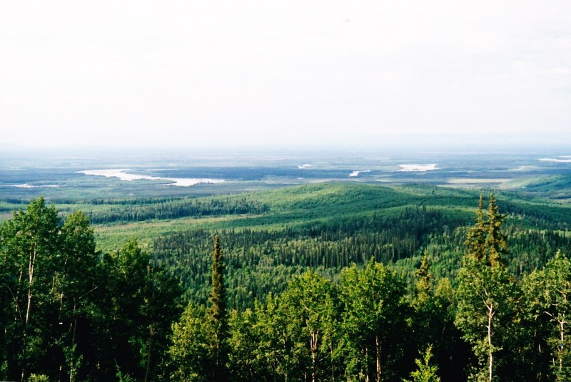 Entre Nenana et Fairbanks