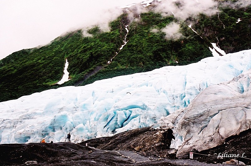 Exit Glacier3