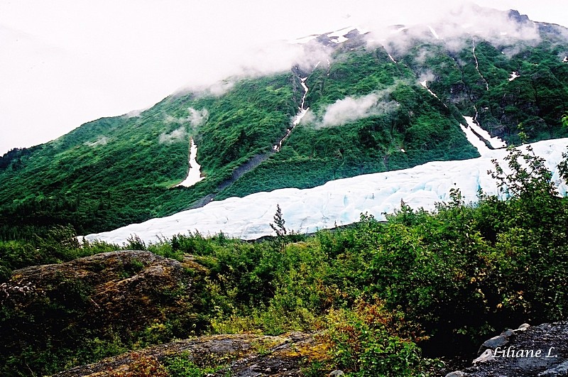 Exit Glacier5