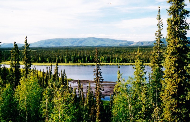 Fortymile river