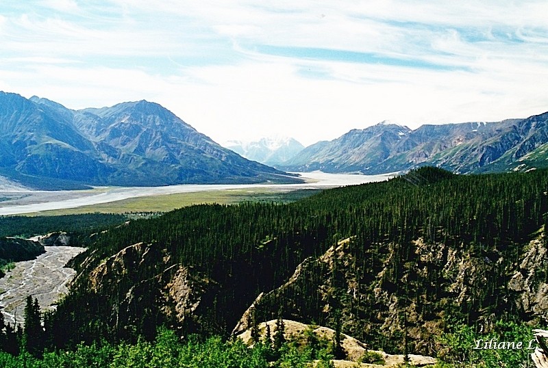 Kluane N.P Mountain Sheep creek trail