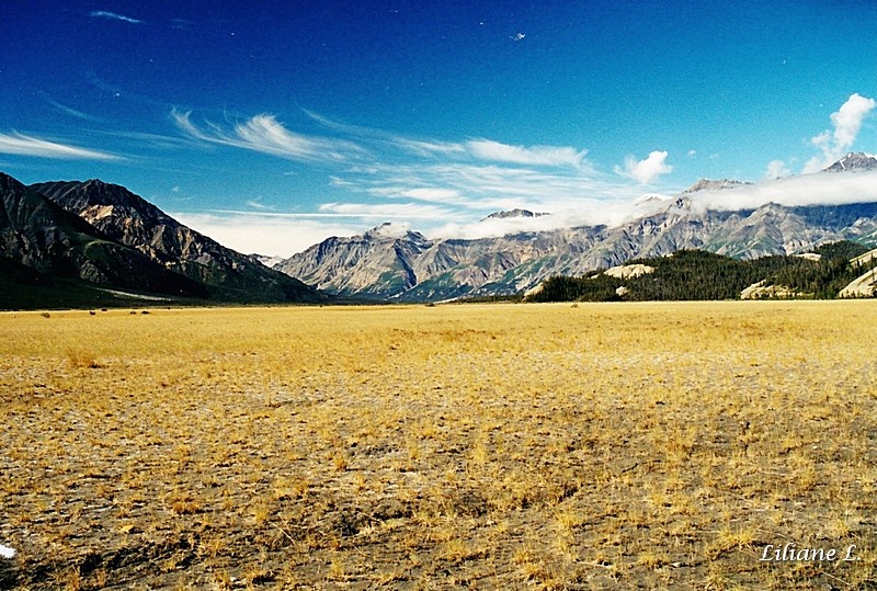 Kluane N.P -entrée du Parc Sheep Mountain