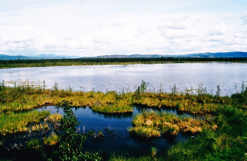 Lac sur l'Alaska Hwy