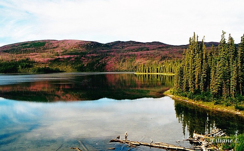 Sur la Klondike Hwy -Little Fox Lake