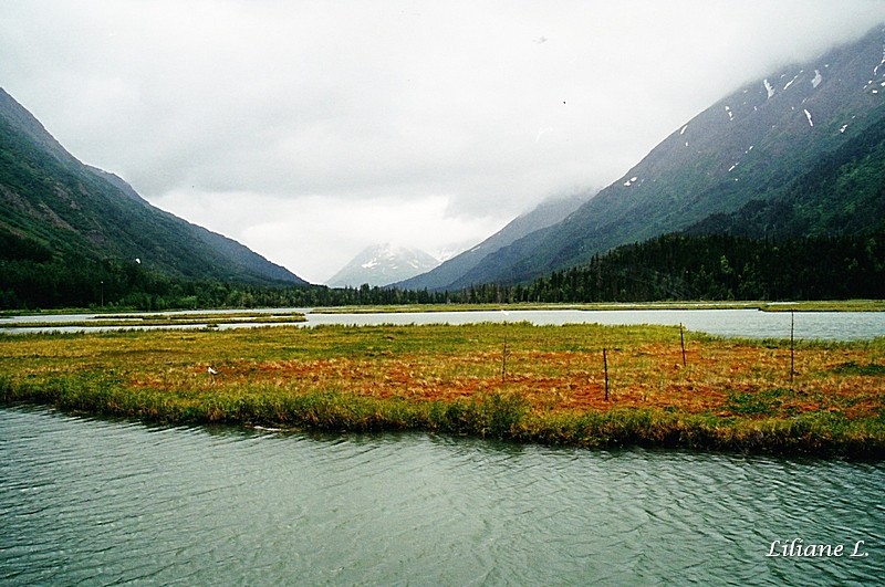 Sur la Seward Hwy1