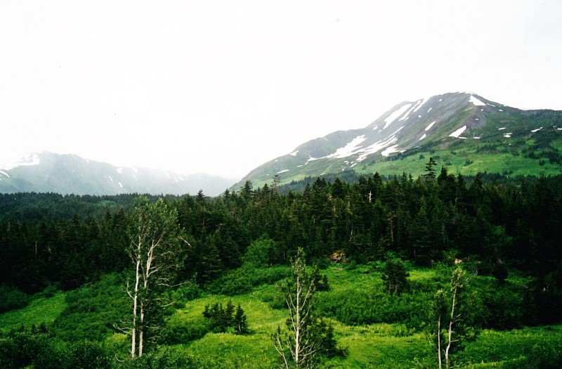 Sur la Seward Hwy_0002