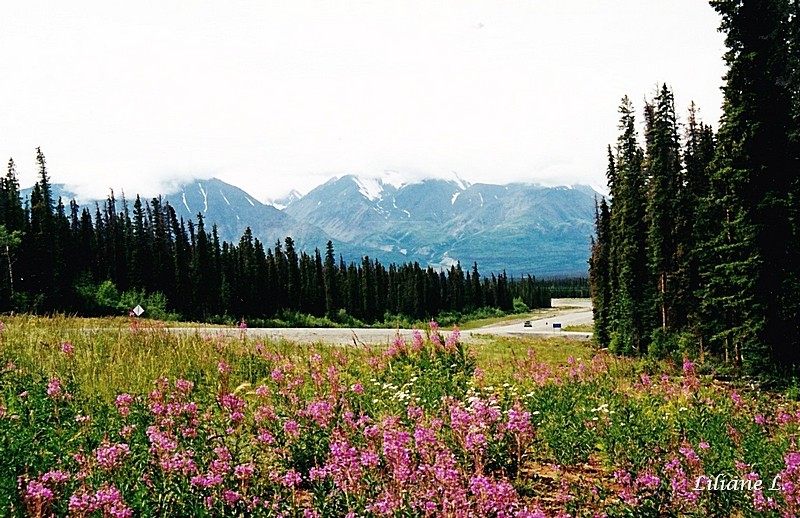 l'Alaska Hwy près de Haines Junction