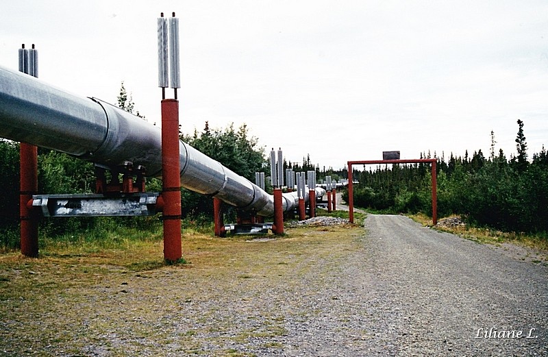 le Trans Alaska Pipeline_0002