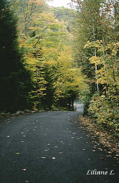 Canyon Sainte Anne