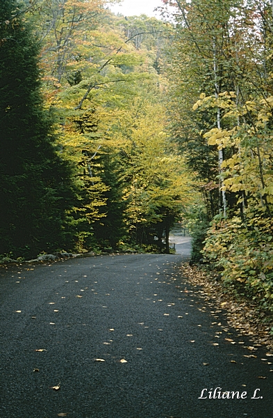  Canyon Sainte Anne