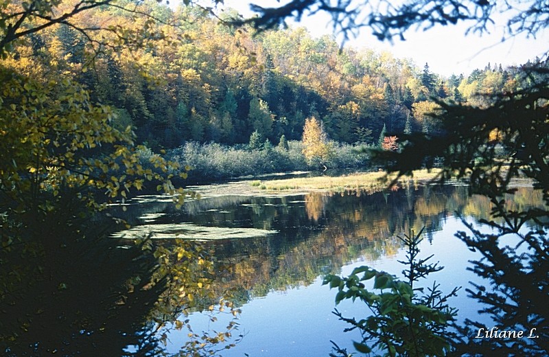 Retour dans le parc de La Mauricie - Lac Etienne