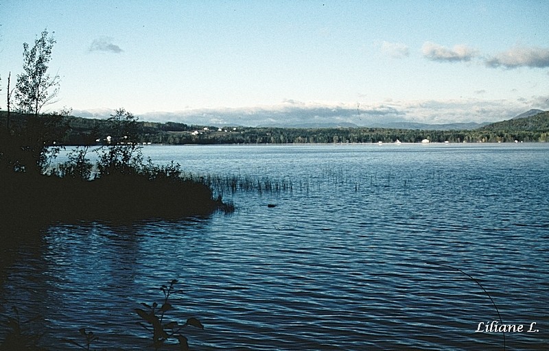 untitlesd 47_DxO