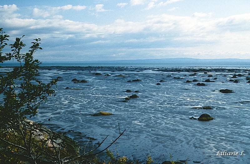 Le St Laurent à Petite Rivière St François