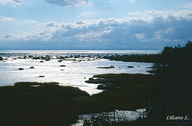 Le St Laurent à Petite Rivière St François