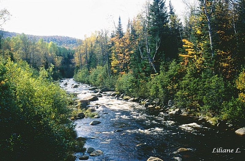 Rivière à Saint Placide