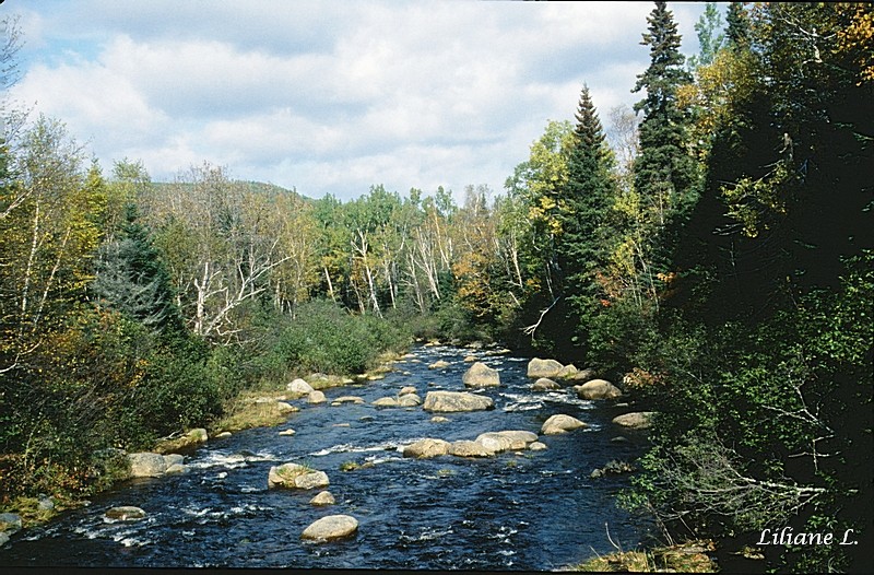 Rivière à Saint Placide