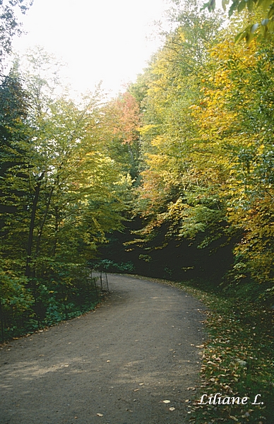 Canyon Sainte Anne