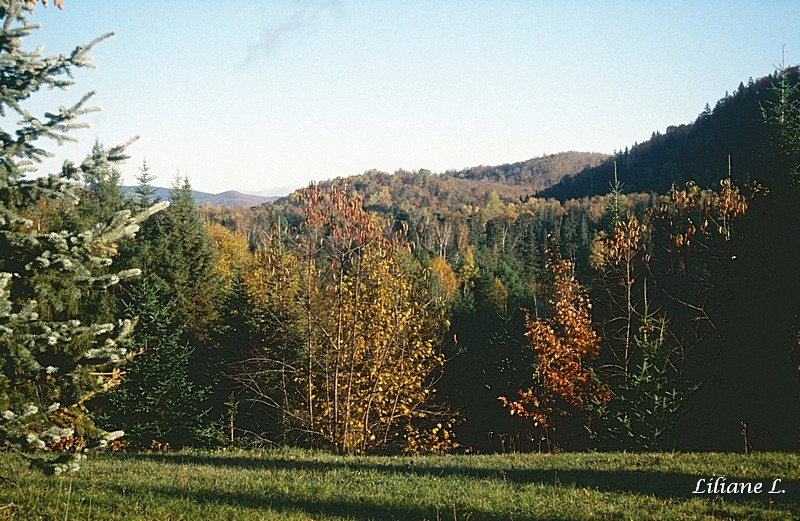 Vue depuis notre chambre