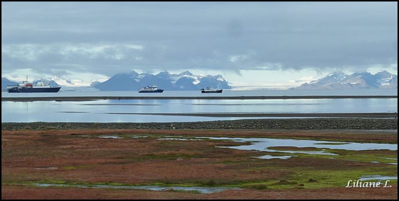 p1110892-pano