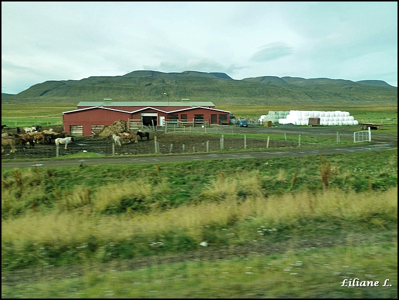p1130160_dxo