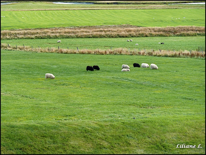 p1130195_dxo