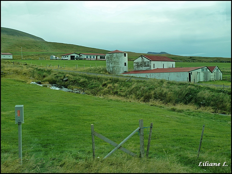 p1130249_dxo